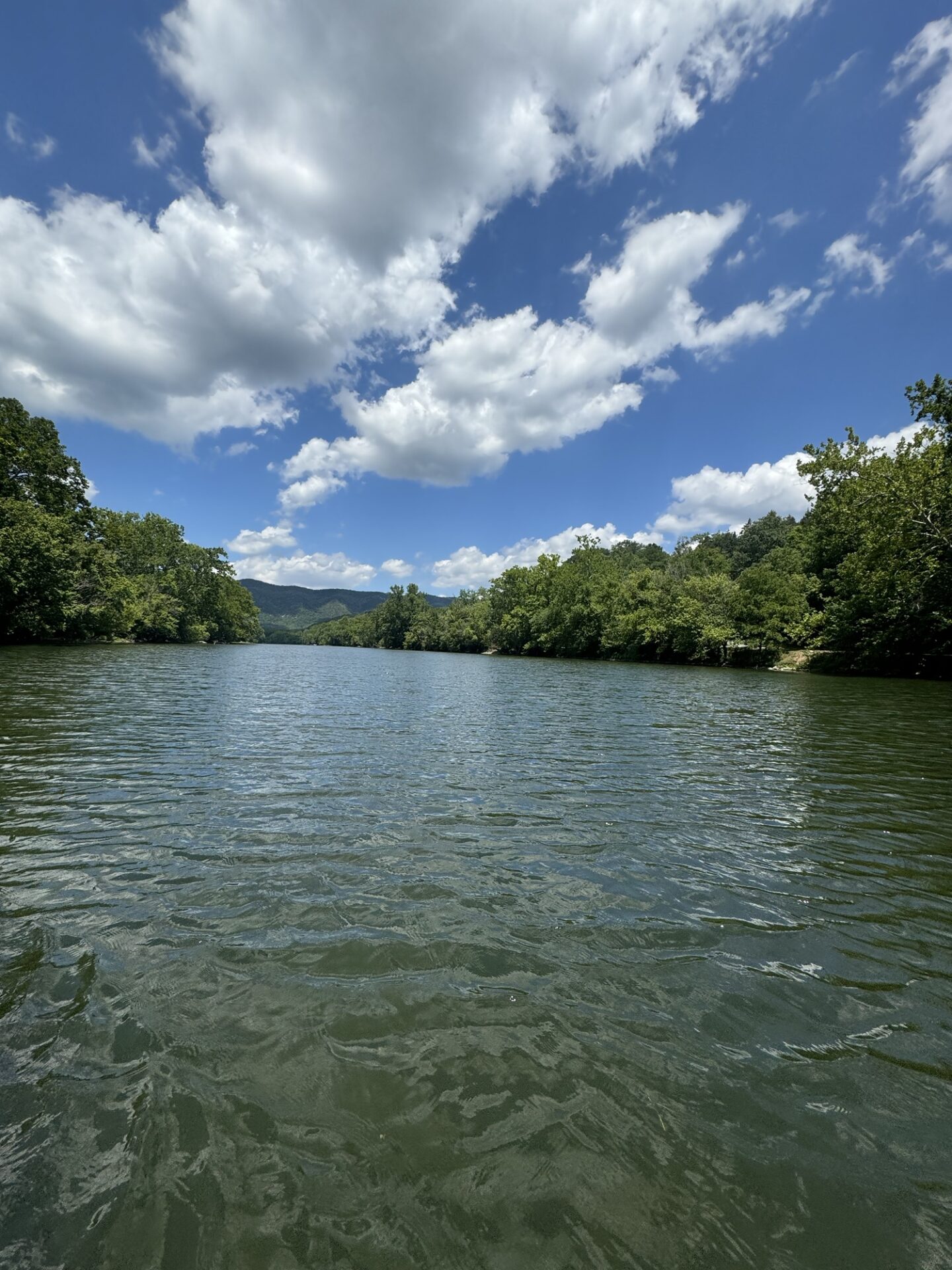 Day 3 – Canoeing on the Shenandoah River